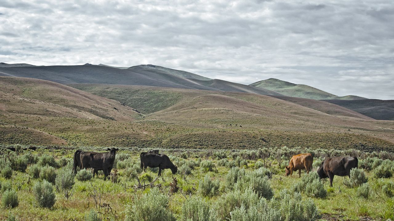 Maggie Creek Ranch
