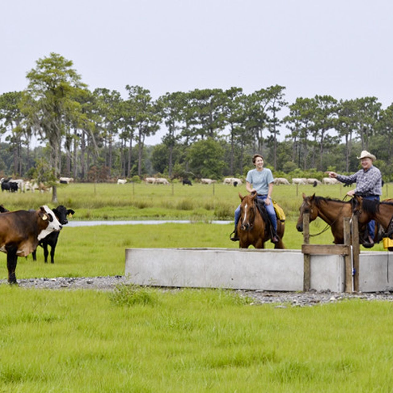 Kissimmee Park Properties