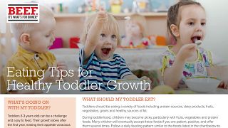 Eating Tips for Healthy Toddler Growth