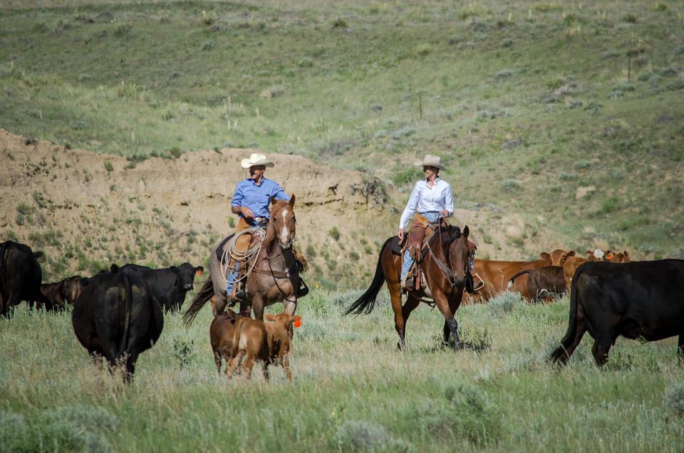 2017 ESAP Winners - Flying Diamond Ranch - Region V - Colorado