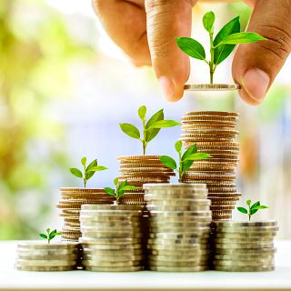 Grazing Prevents Wildfires