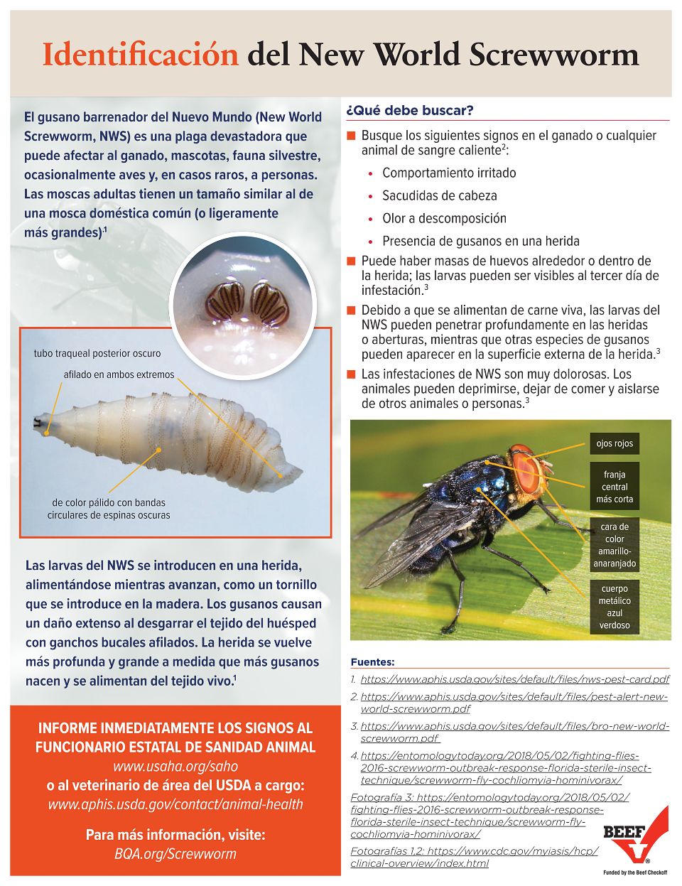 NWS-producer-ID-poster-Spanish-090525-05