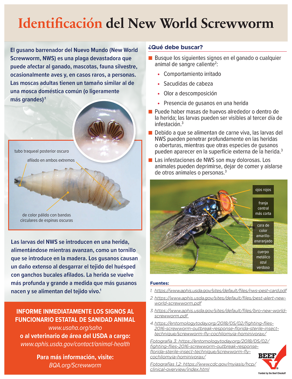 NWS-producer-ID-poster-Spanish-090525-05