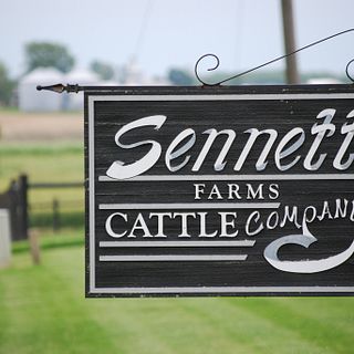 Sennett Cattle CO