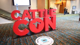 2026 Pre-Con - Convention Photography