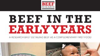 Beef in the Early Years - Research Brief