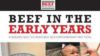 Beef in the Early Years - Research Brief