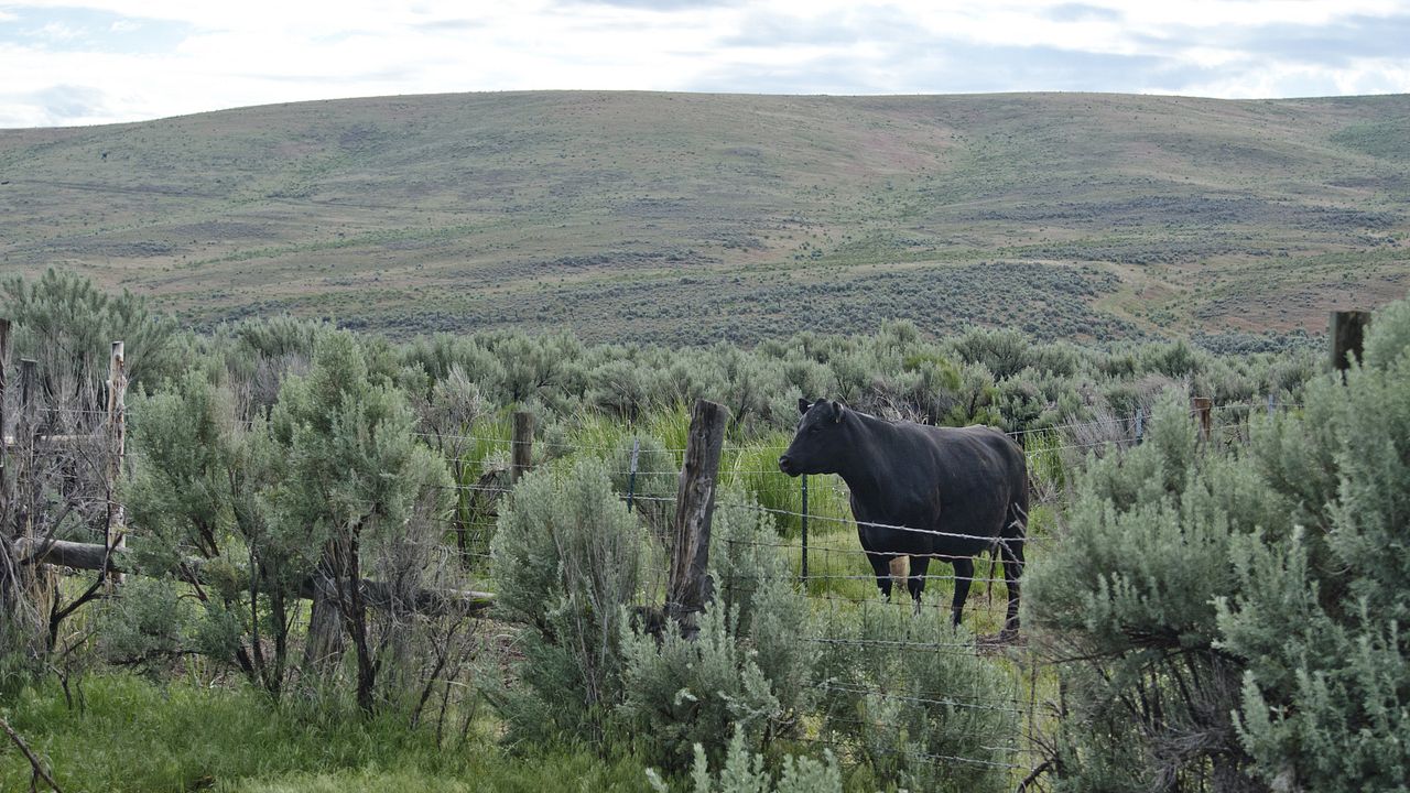 Maggie Creek Ranch