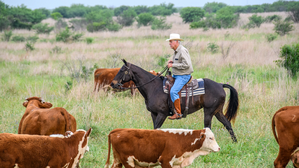 TX ESAP 2025