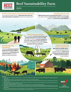 2024 Beef Sustainability Facts Infographic