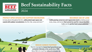 2024 Beef Sustainability Facts Infographic