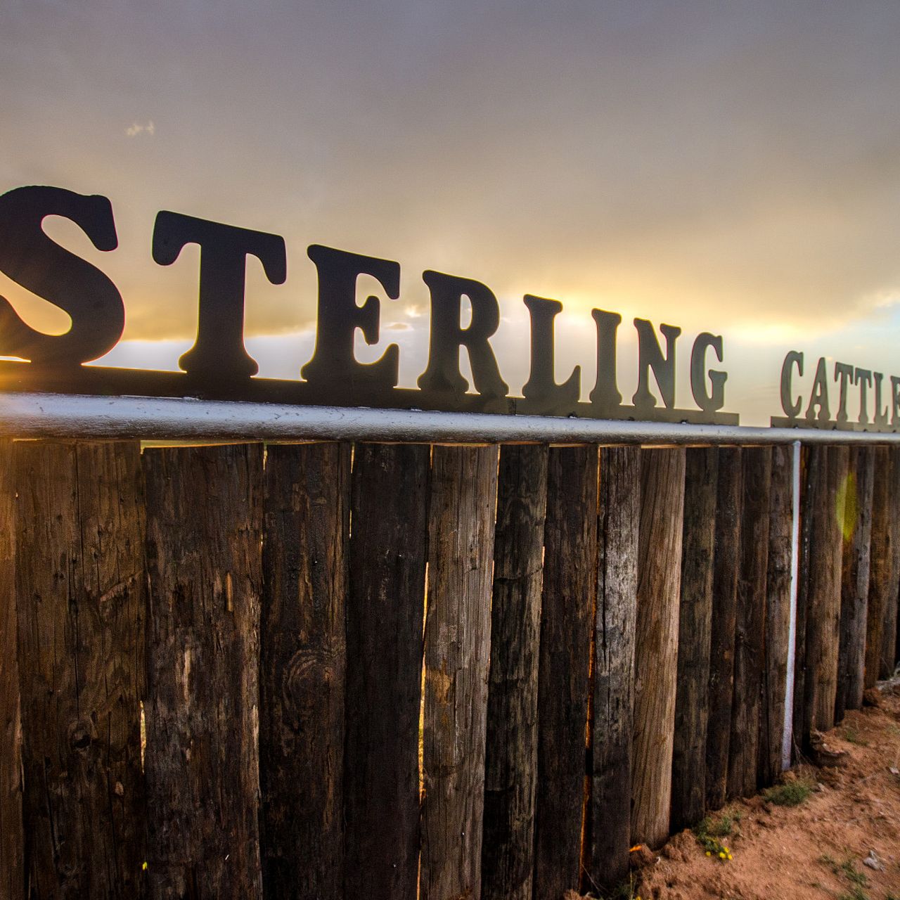 2017 ESAP Winner - Region IV - Sterling Cattle Company