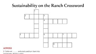 Beef Sustainability on the Ranch Crossword