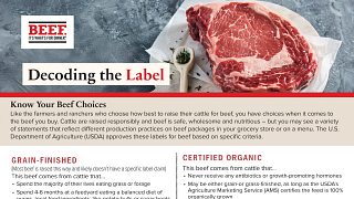 Decoding the Label: Know Your Beef Choices