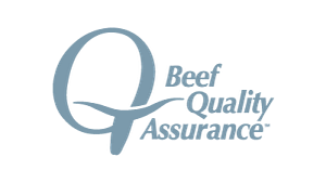 BQA Web Logo