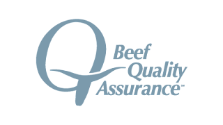 BQA Web Logo