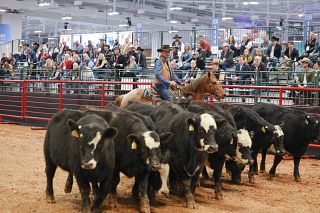 2026 Day 2 - Trade Show Photography