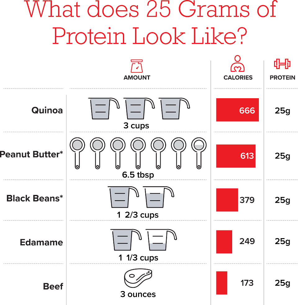 What Does 25 Grams of Protein Look Like
