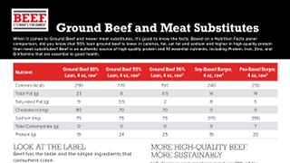 Meat Substitutes Fact Sheet
