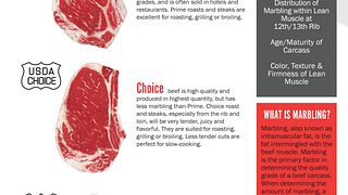 USDA Understanding Beef Quality Grades