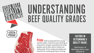 USDA Understanding Beef Quality Grades