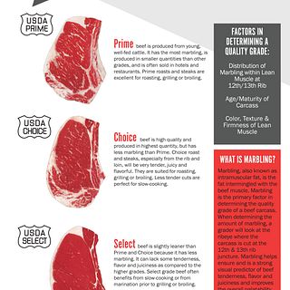 USDA Understanding Beef Quality Grades