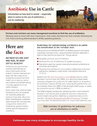 ABX-Fact-Sheet-2025