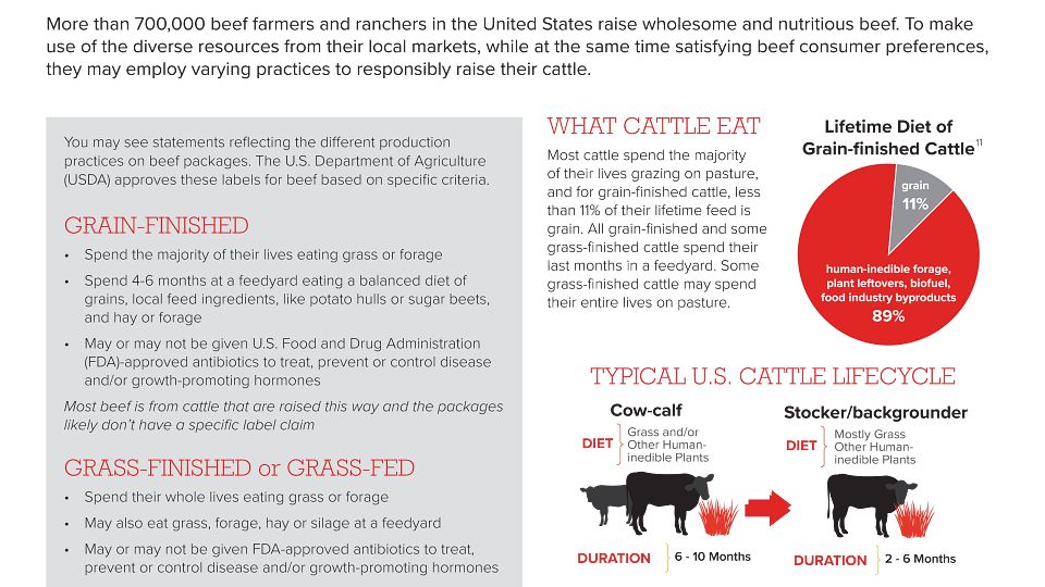 Grain finished vs grass finished beef