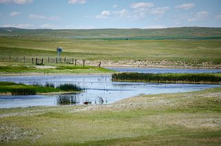 Cherry Creek Ranch