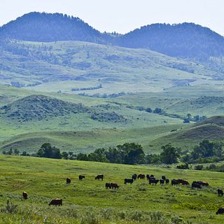 padlock ranch