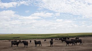Triple-U Ranch