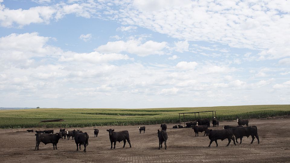 Triple-U Ranch