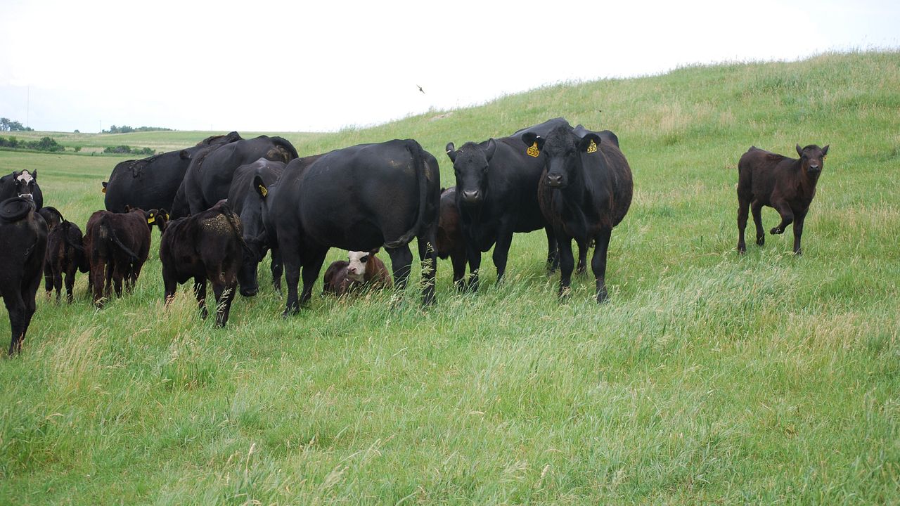Guge Farm