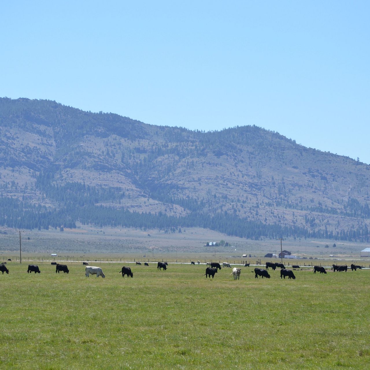 Sparrowk Ranch