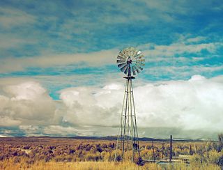 AdobeStock_99698583.jpeg AdobeStock_99698583.jpeg