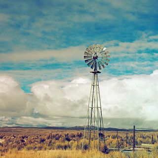 AdobeStock_99698583.jpeg AdobeStock_99698583.jpeg