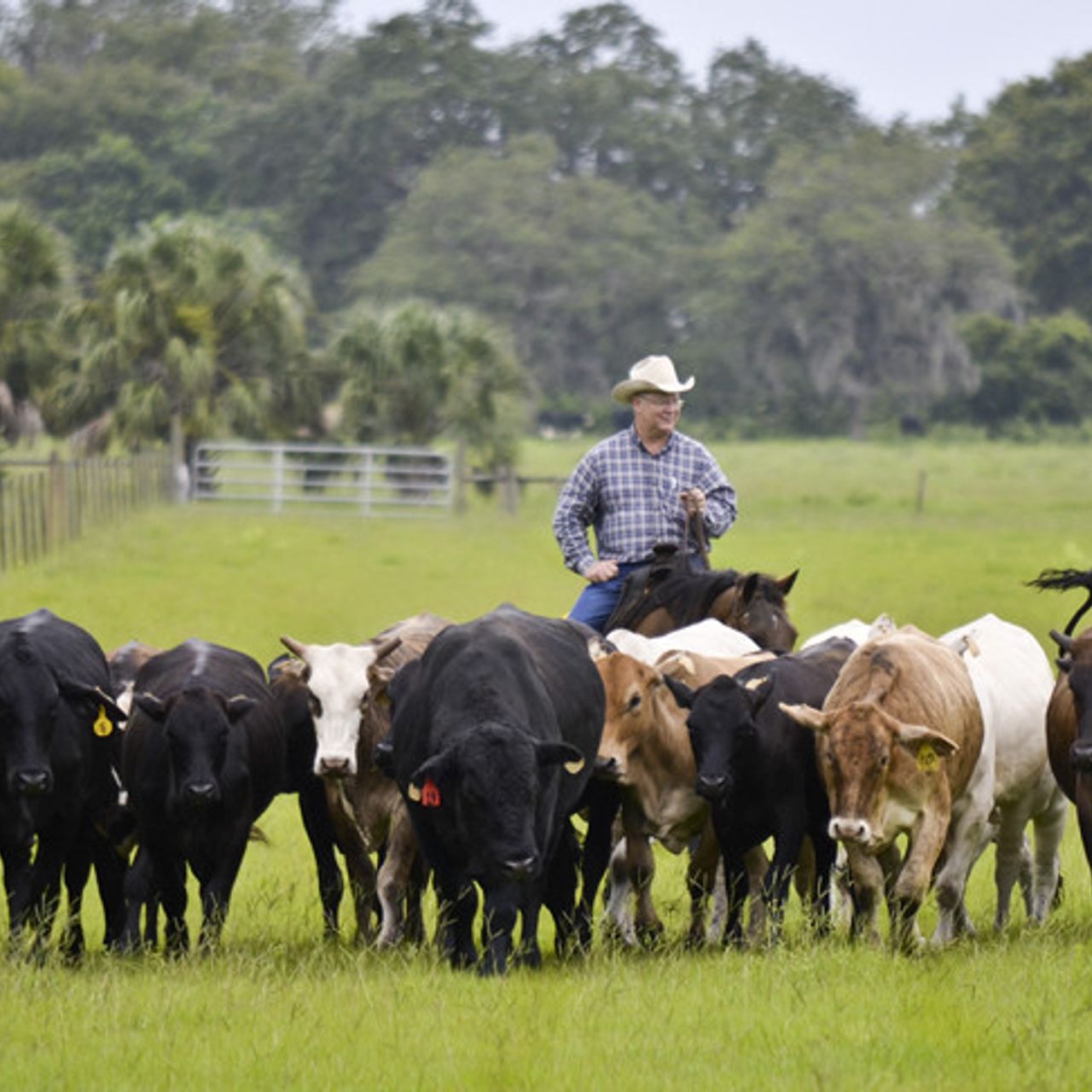 Kissimmee Park Properties