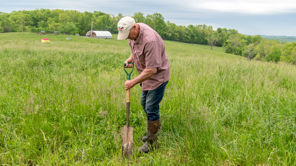 rancher in pasture
