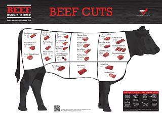 Beef Cuts Primal Chart