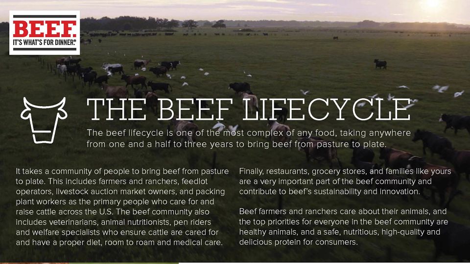 The Beef Lifecycle