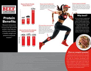 Protein Benefits Infographic