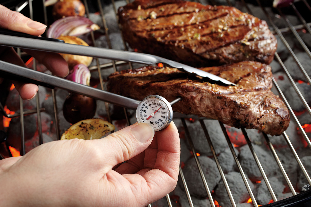How to Properly Use a Meat Thermometer 