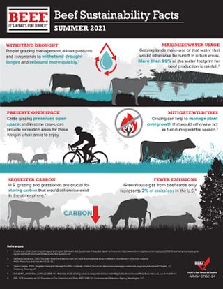 Beef Sustainability Facts