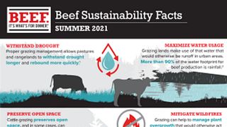 Beef Sustainability Facts