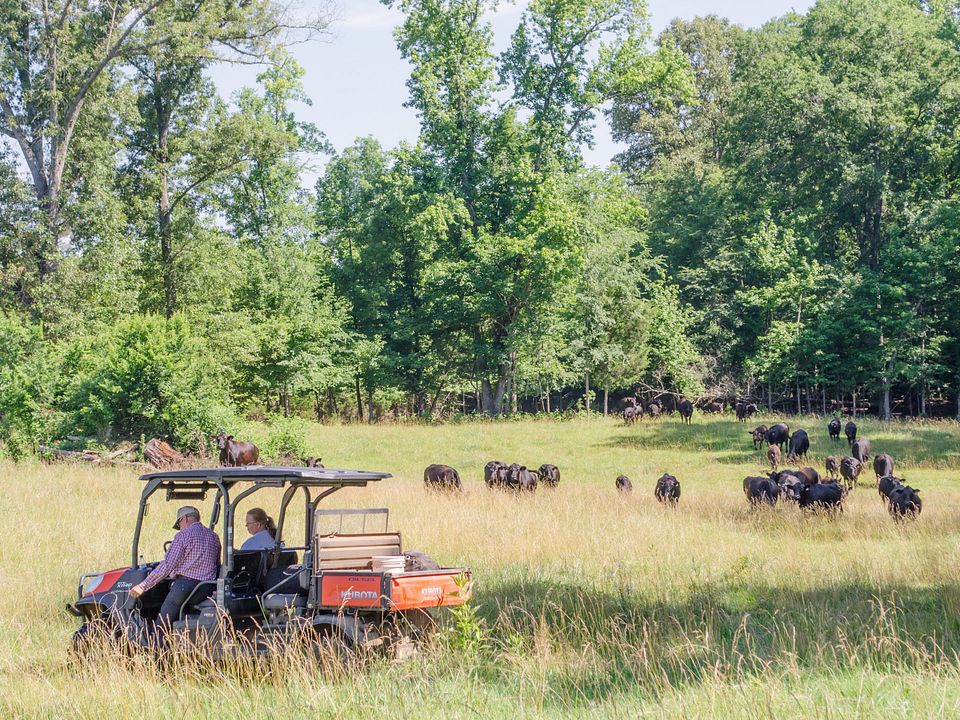 Region 1 - Blue Lake Farms - South Carolina, 2017 Region 2 - Blue Lake Farm - South Carolina