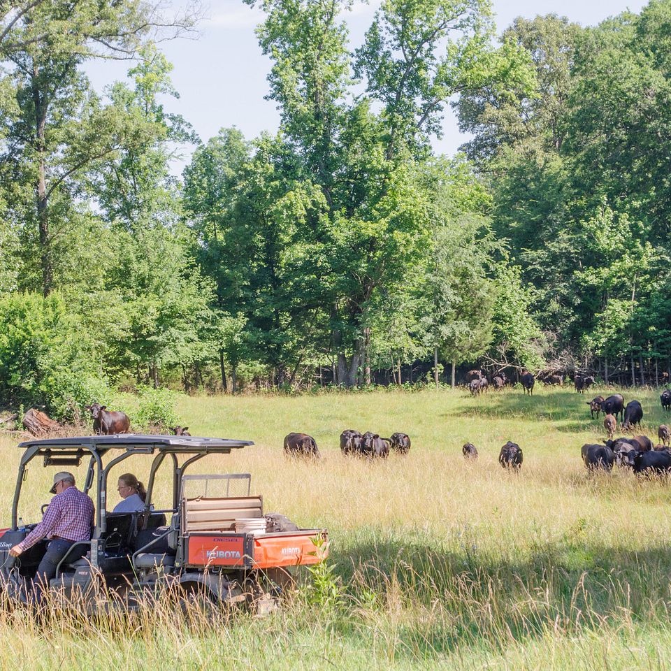 Region 1 - Blue Lake Farms - South Carolina, 2017 Region 2 - Blue Lake Farm - South Carolina