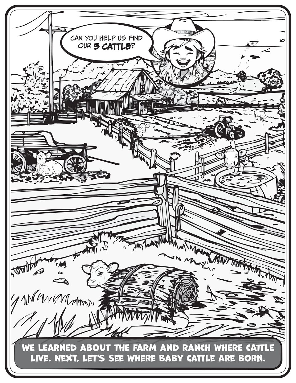 Find the Cattle Coloring Page