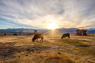 AdobeStock_137498990.jpeg