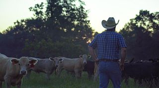 BQA - Bluff Creek Cattle