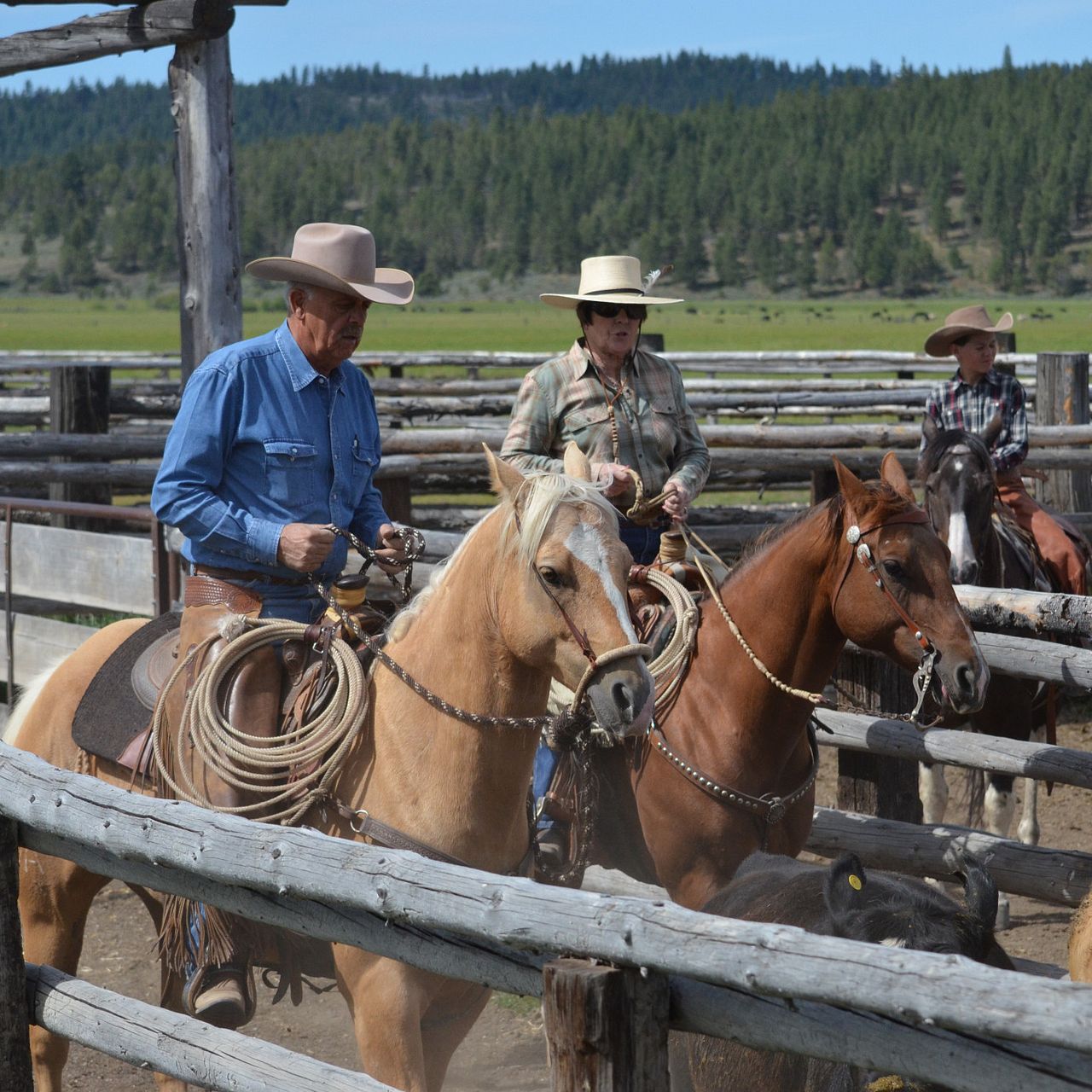 Sparrowk Ranch